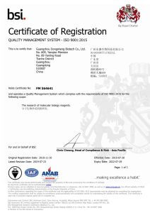 第十年！東盛順利通過質(zhì)量管理體系年審，換發(fā)ISO 9001: 2015新證書