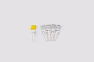 東盛分子診斷原料：一步法逆轉(zhuǎn)錄qPCR 預(yù)混液新品上市！