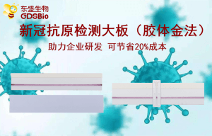 上新了！東盛推出新冠病毒抗原檢測膠體金大板產(chǎn)品