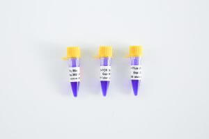PCR Mix升級丨趁“熱啟動”，體驗升級