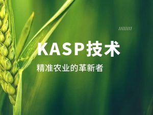 技術分享丨KASP：精準農(nóng)業(yè)的革新者