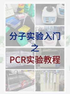 分子小白入門必學，完整的PCR實驗教程