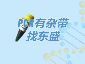 Super TaqMix：高性價比Hotstart PCR Mix