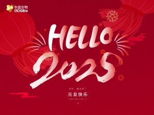 辭舊迎新，共啟2025年新征程