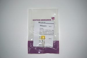 RNasin(RNase 抑制劑)(R2011)