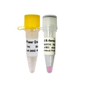 Power Green qPCR Mix (with ROX+) P2101a/P2102c/P2103c