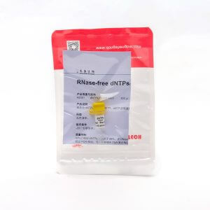 RNase-free dNTPs（R2051） dATP、dTTP、dCTP、dGTP的等摩爾混合物。