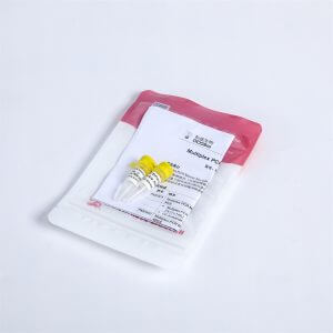 2X Multiplex PCR Master Mix with UDG PM2001，PM2002，PM2003