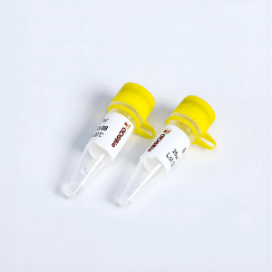 MaxScript逆轉(zhuǎn)錄酶 R3021/R3022